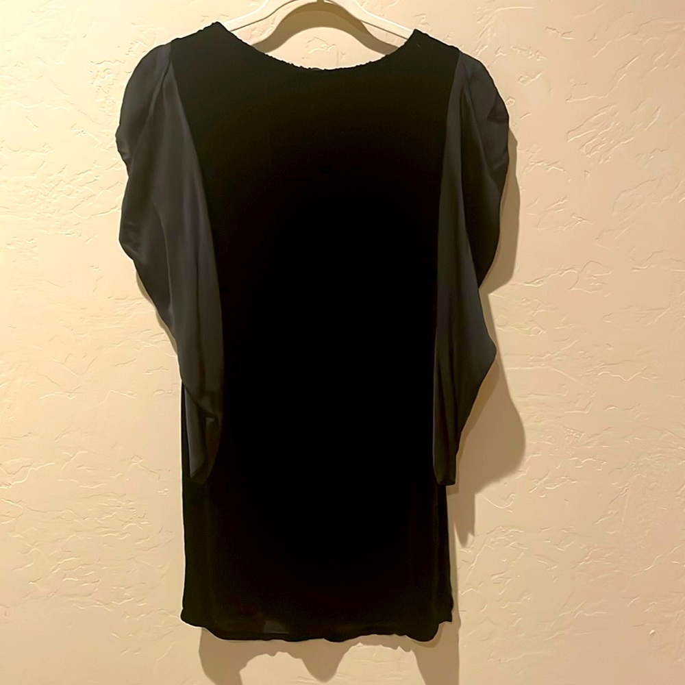 Black velvet sheath, with renaissance style puff sleeves slimming down arm,satin
